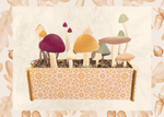 Hand-painted Mushroom Box